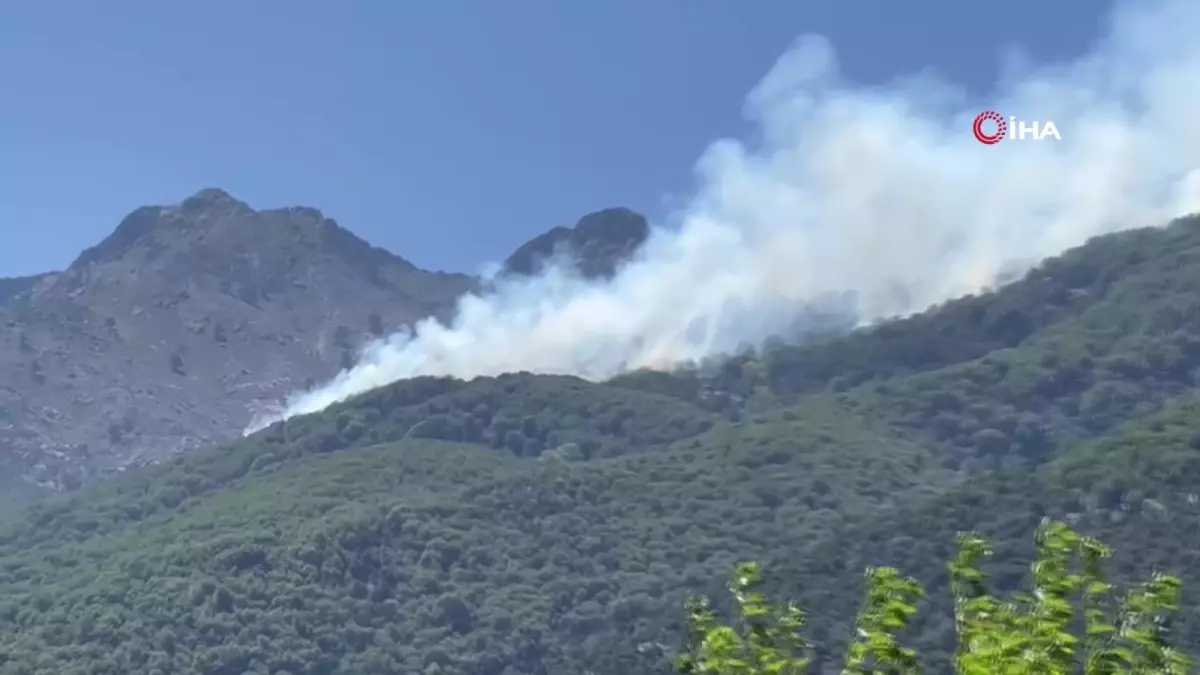 Son dakika haber... Yunanistan'ın Semadirek Adası'nda orman yangını