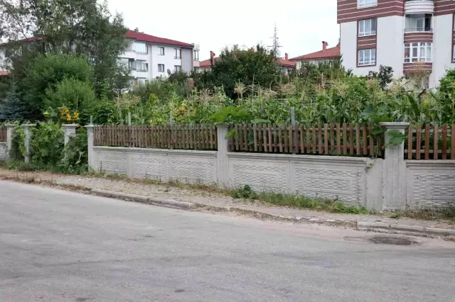 Bahçesinden mısır alan 3 kız çocuğunu tekme ve yumrukla darp etti