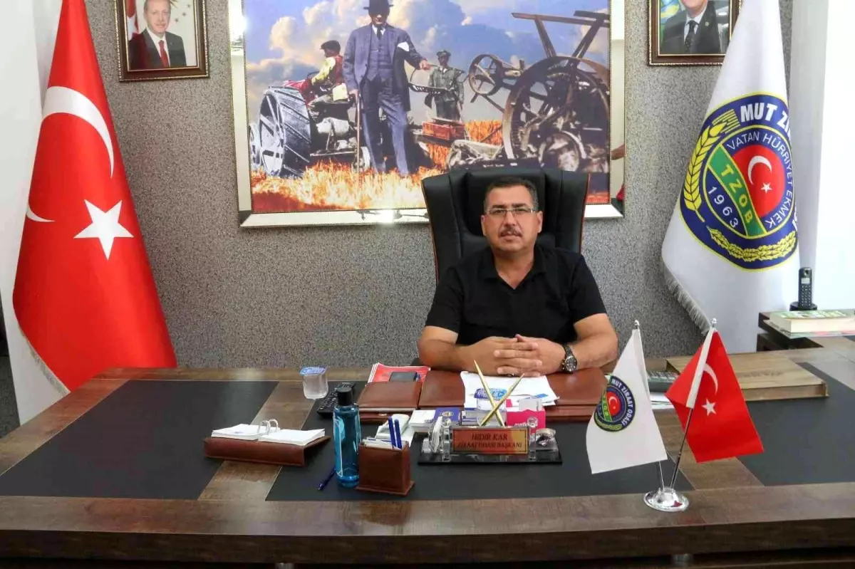 Beyaz incirin fiyatı bir haftada 24 liradan 10 liraya düştü
