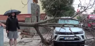 Fırtınada ağaçlar devrildi, yolları su bastı