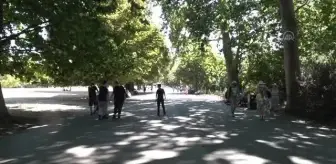 İngiltere'de sıcak hava dalgası nedeniyle sağlık uyarısı verildi