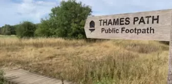 İngiltere'de Thames Nehri'nin kaynağında kuraklık krizi yaşanıyor