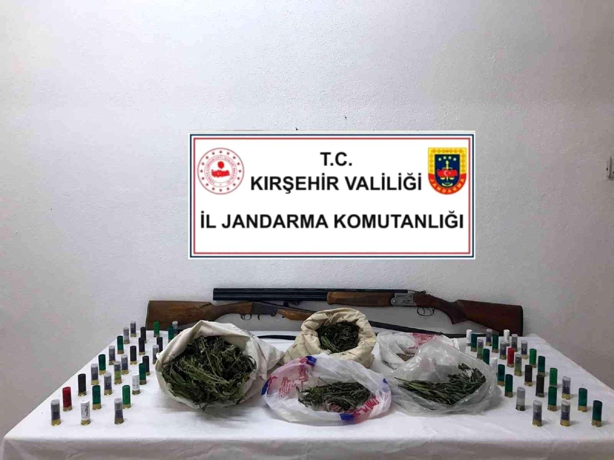 Son dakika haberi: Jandarmadan uyuşturucu operasyonu: 1 gözaltı