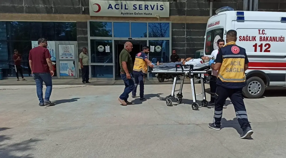 Şanlıurfa haber: Şanlıurfa'da pamuk tarlasına devrilen otomobildeki 5 kişi yaralandı