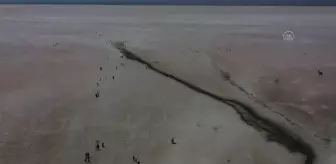 Tuz Gölü'ne ziyaretçi ilgisi