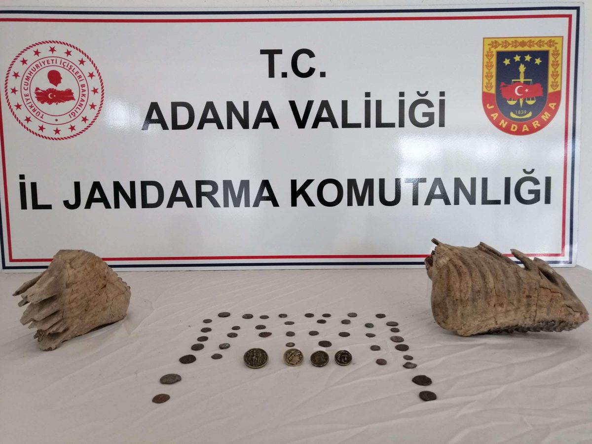 Adana haberi... Adana'da mamut çenesi olduğu değerlendirilen iki fosil ele geçirildi