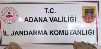 Adana haber! Adana'da mamut fosili ele geçirildi