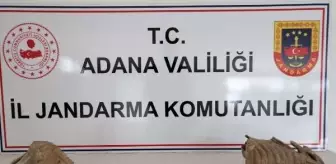 Adana gündem haberleri | Adana'da, otomobilde mamut fosilleri ele geçirildi