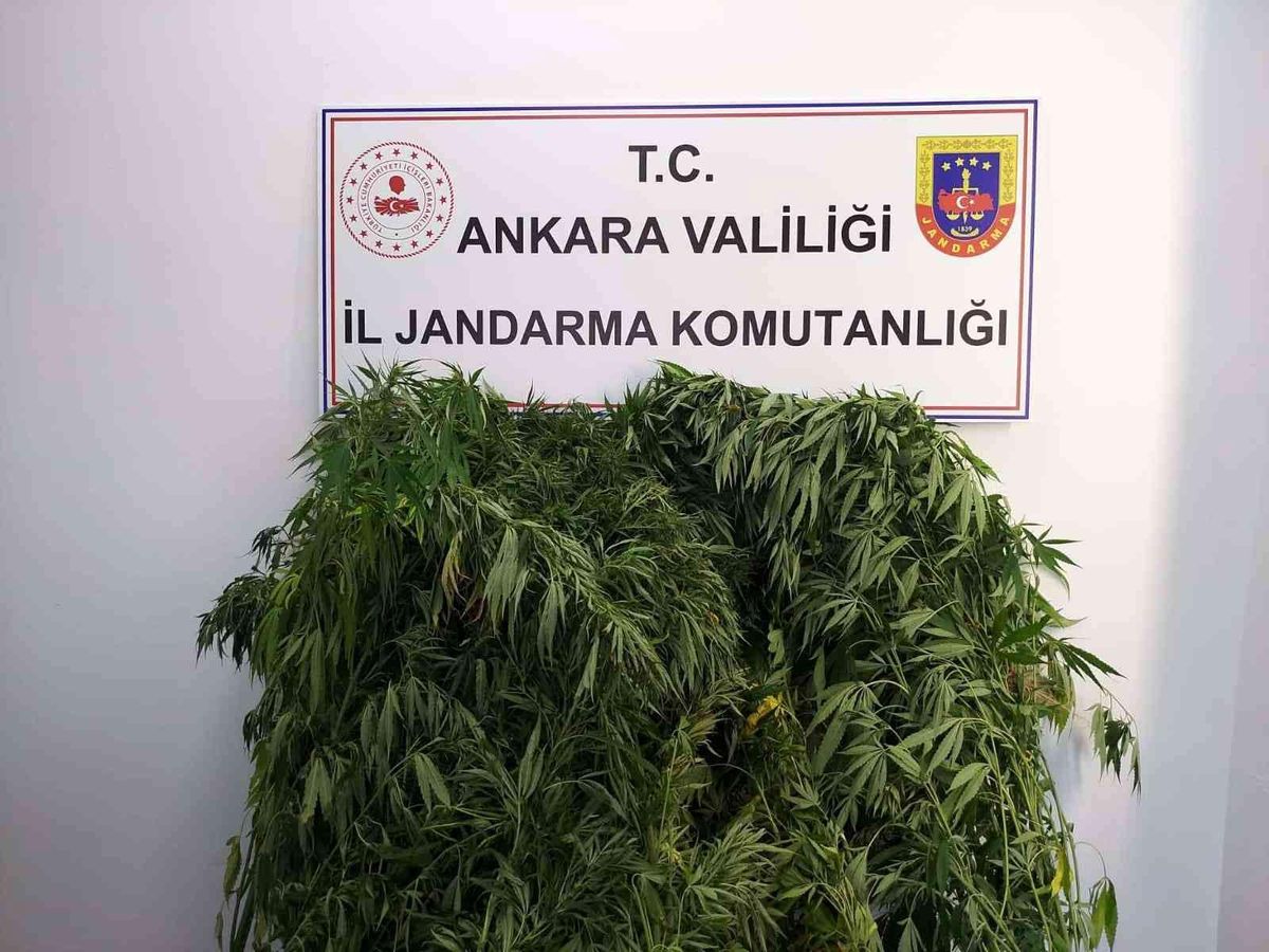 Son dakika haberleri! Başkentteki 5 farklı uyuşturucu operasyonunda 7 kişi yakalandı