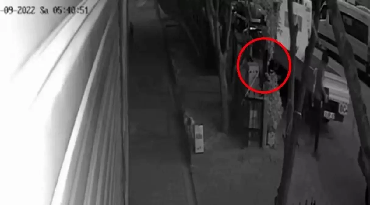 Bursa haberi! Bursa'da akü hırsızlığı kamerada