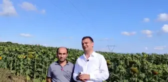 Samsun haber! CHP Samsun İl Başkanı Fatih Türkel: '3 Yıldır Hasat Bitiyor, Bittikten Sonra Ayçiçek Fiyatı Açıklanıyor'