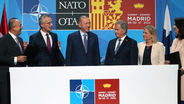 İsveç, Türkiye'nin kırmızı bültenle aradığı dolandırıcıyı teslim edecek