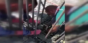 İnşaat demirlerinin içine giren kedinin üzerine beton döküldü