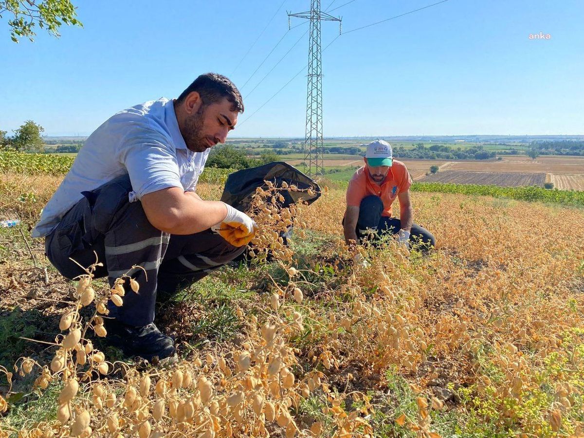Kırklareli haberi | Lüleburgaz Belediyesi'nden 'sevgi Mutfağı'