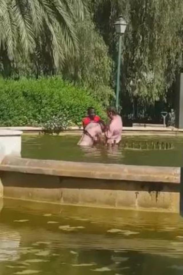 Yarı çıplak kadını parktaki havuzda boğmaya çalıştı! Nedeni olaydan garip