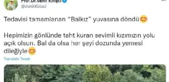 'Balkız' doğaya bırakıldı (2)