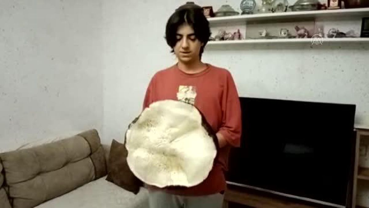 Bir kişi 3 kilogram ağırlığında mantar buldu