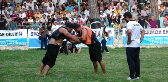 Hatay haberleri | Hatay'da geleneksel Yayladağı Kültür ve Aba Güreşi Türkiye şampiyonası düzenlendi