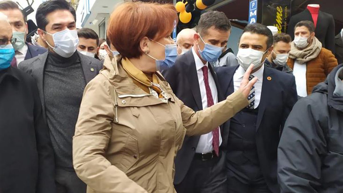 İYİ Parti lideri Meral Akşener'i sokak köpeği ısırdı