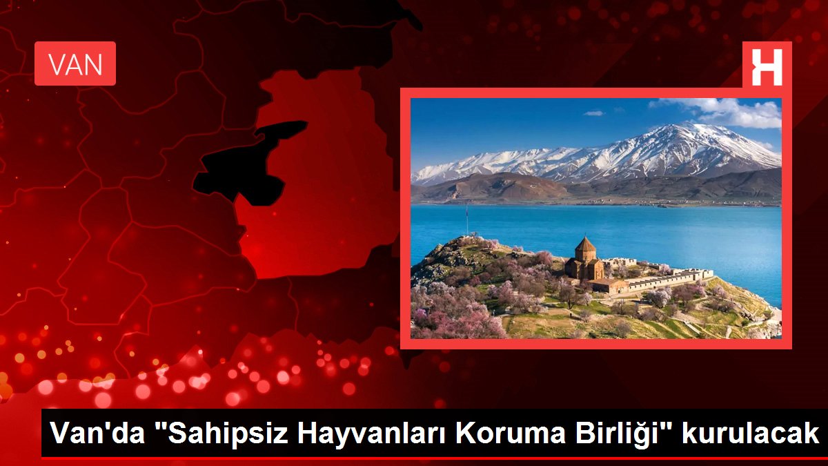 Van gündem haberi... Van'da 'Sahipsiz Hayvanları Koruma Birliği' kurulacak