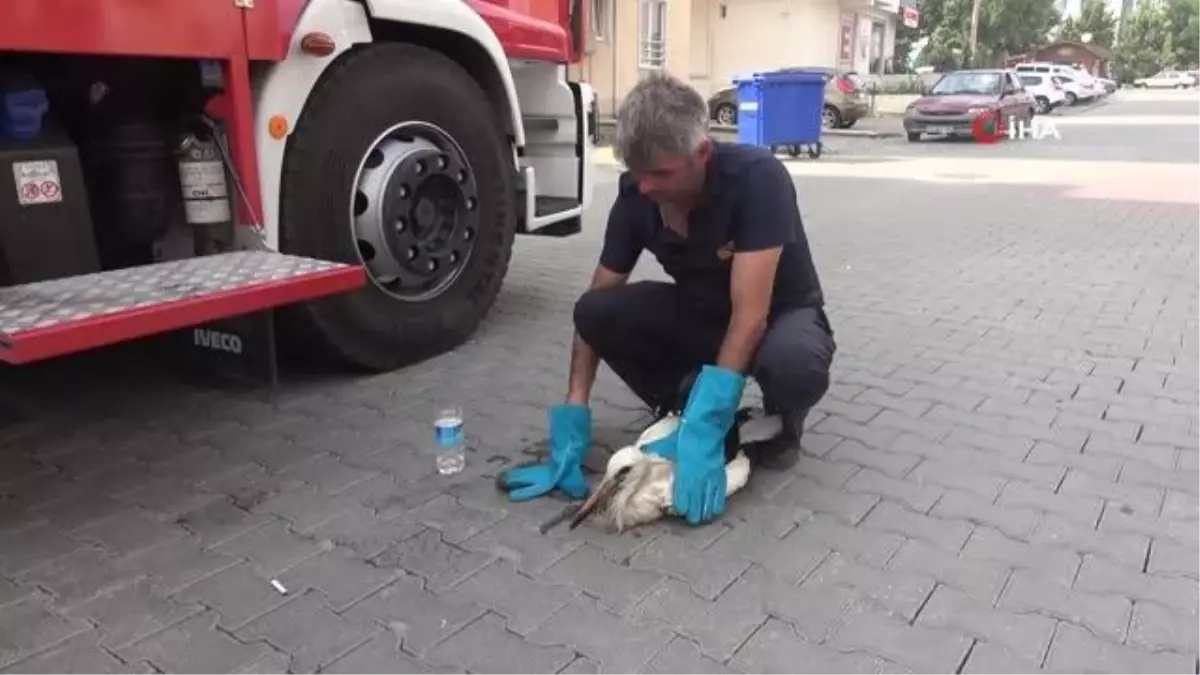 Son dakika haberi! İlk uçuşunda yorgun düşen yavru leyleği yuvasına itfaiye ekipleri bıraktı