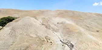 Muş haberi | Muş'ta yayla dönemini tamamlayan besiciler dönüşe geçti