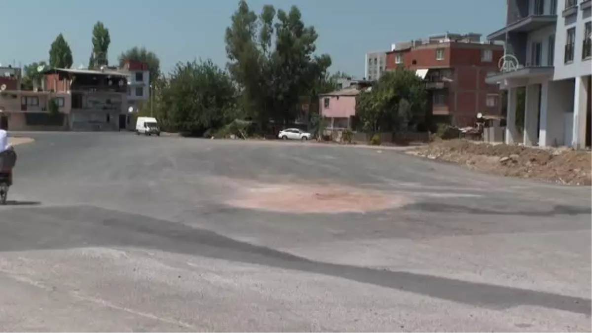Yol yapımı için ağaç kesilmesine tepki
