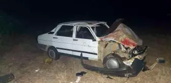 Çanakkale 3. sayfa haberi | Çanakkale'de otomobil koyun sürüsüne daldı: 13 koyun telef oldu