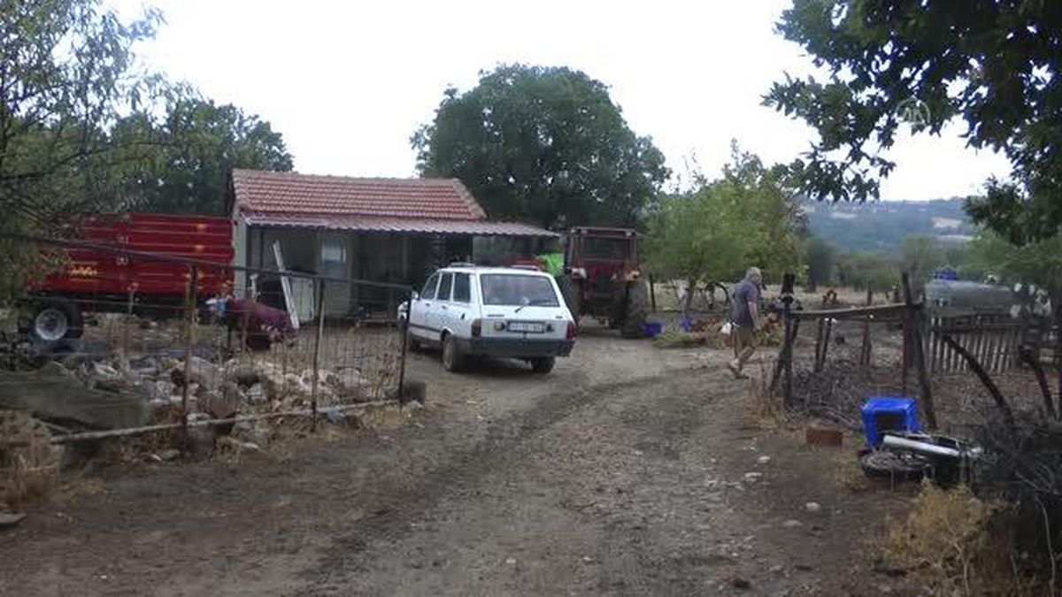 Çanakkale haberi! ÇANAKKALE - Fırtına ve yağış etkili oldu