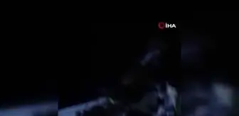 Otomobil sürüye daldı: 26 hayvan telef oldu