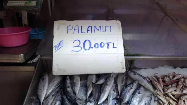 Sezonun ilk palamutları 30 liradan tezgahlarda yerini aldı