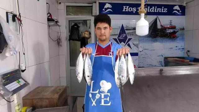 Sezonun ilk palamutları 30 liradan tezgahlarda yerini aldı