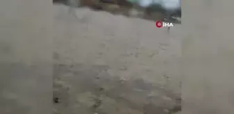 Ardahan haberi! Tekneler denizde değil, depoda yüzdü...Sağanak yağış depoları göle çevirdi