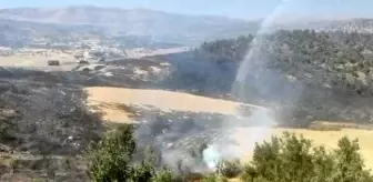 Bitlis haber... Hizan'da örtü yangını