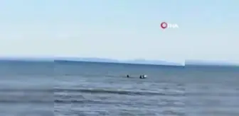Bursa haberi! Mudanya'da boğulmak üzere olan kişi son anda kurtardı