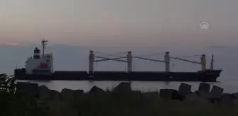 Tahıl taşıyan 5 gemi daha Ukrayna'dan hareket etti