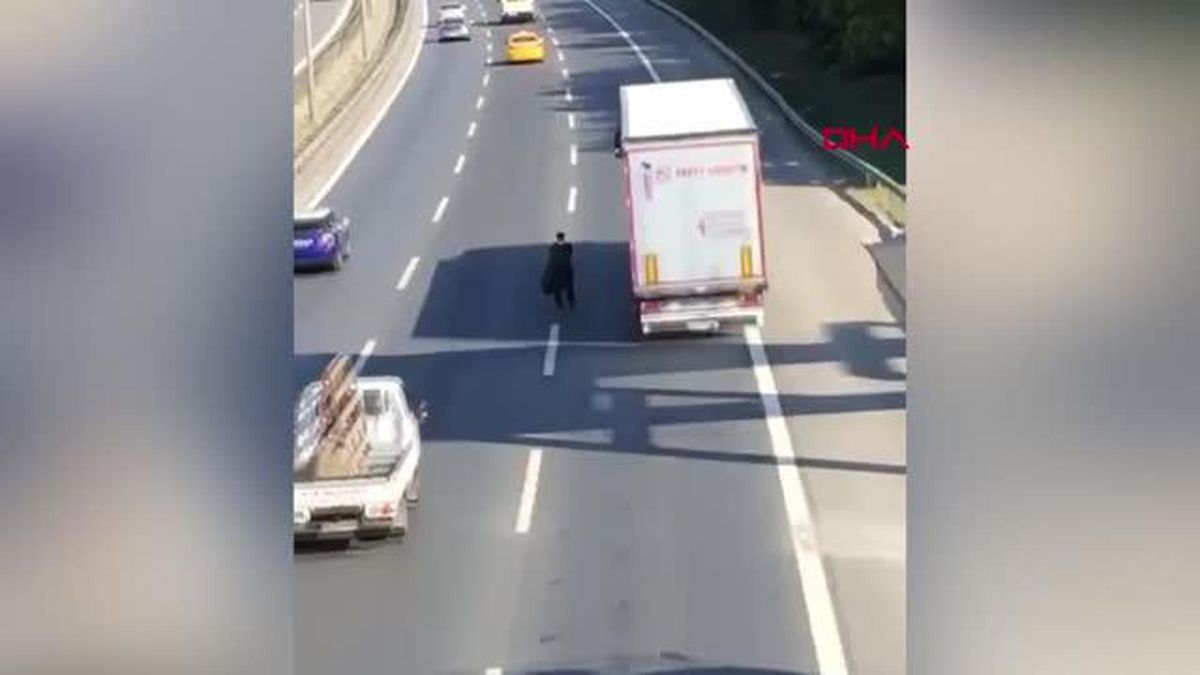 Son dakika haberi! TEM'İN ORTASINA ÇIKTI KAZAYA NEDEN OLDU