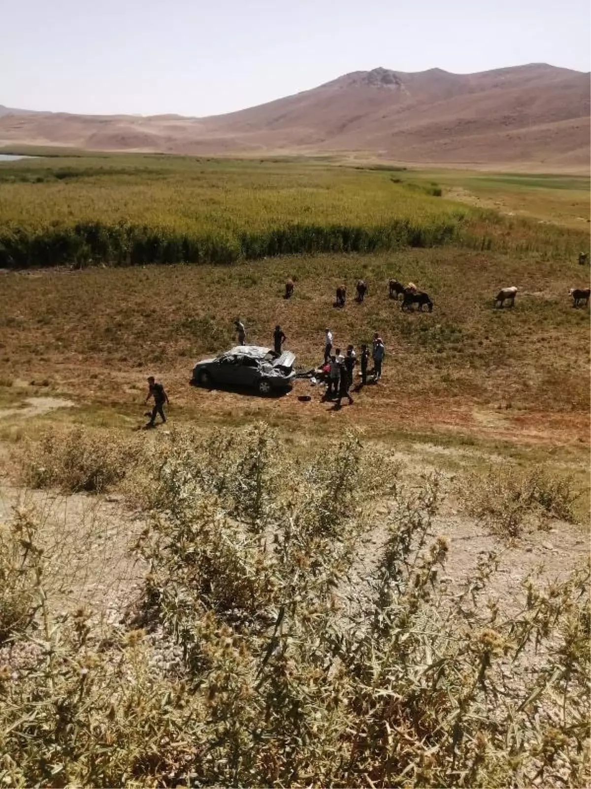 Son dakika haberleri... Van'da otomobil takla attı: 1 ölü, 4 yaralı