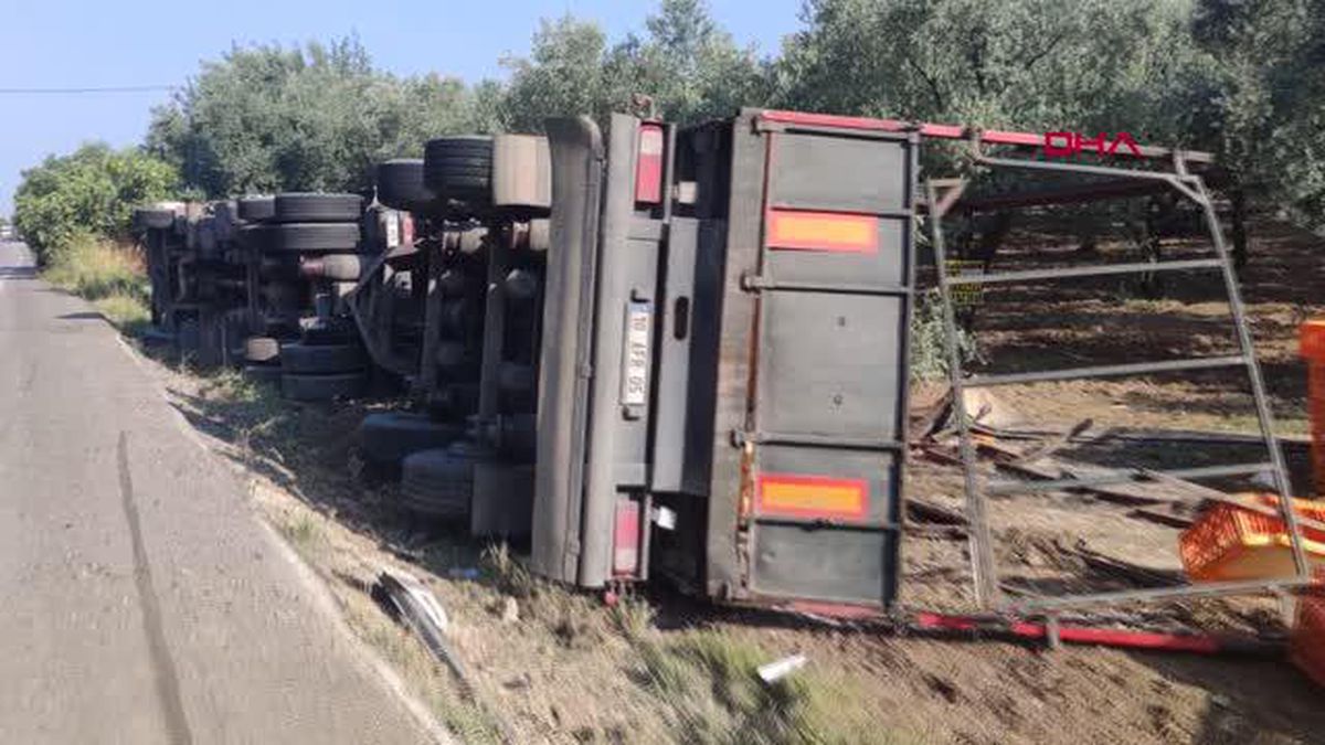 Bursa haber... BURSA'DA TIR DEVRİLDİ; YÜZLERCE TAVUK ÖLDÜ