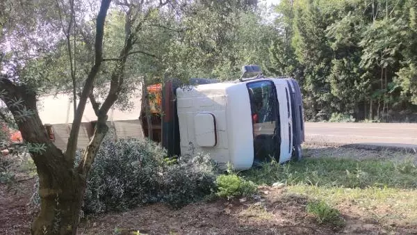 TIR devrildi, yüzlerce tavuk telef oldu
