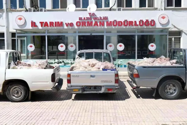 Kötü kokudan rahatsız olan vatandaşlar ihbar etti, depodan çürümüş et çıktı