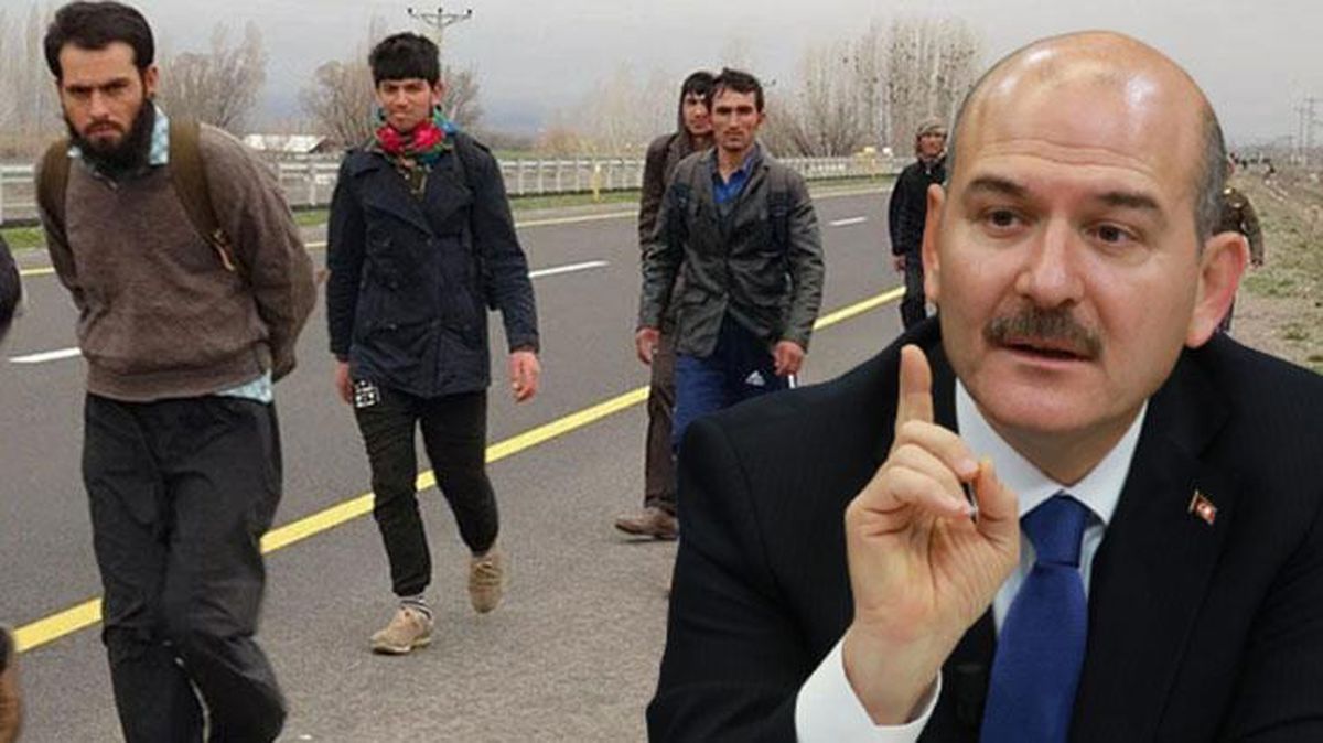 Bakan Soylu'dan sığınmacılarla ilgili çok konuşulacak sözler: Türkiye'nin ortanca yaş nüfusu hızla artıyor