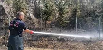 Son dakika haberi... Elektrik akımına kapılan güvercin, ağaçlık alanda yangın çıkardı