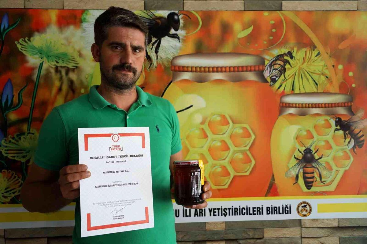 Kastamonu haberleri | Kastamonu 'kestane balı' coğrafi işaret belgesi aldı