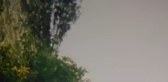 Otomobili yanan kadının, gölette cesedi bulundu (2)- Yeniden