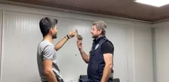 Son dakika haberi | Polis uygulama noktasına yaralı balaban kuşu düştü