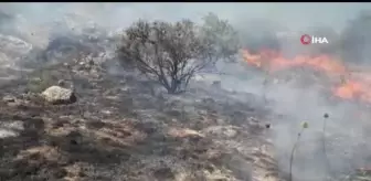 Son dakika haberi... Şarkışla'da çıkan anız yangını korkuttu