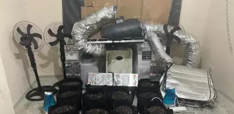 Tuzla'da uyuşturucu madde ticareti ve yetiştiriciliği yapan adrese baskın