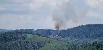 Bursa haberleri... Bursa'da ormanlık alanda çıkan yangın kontrol altına alındı