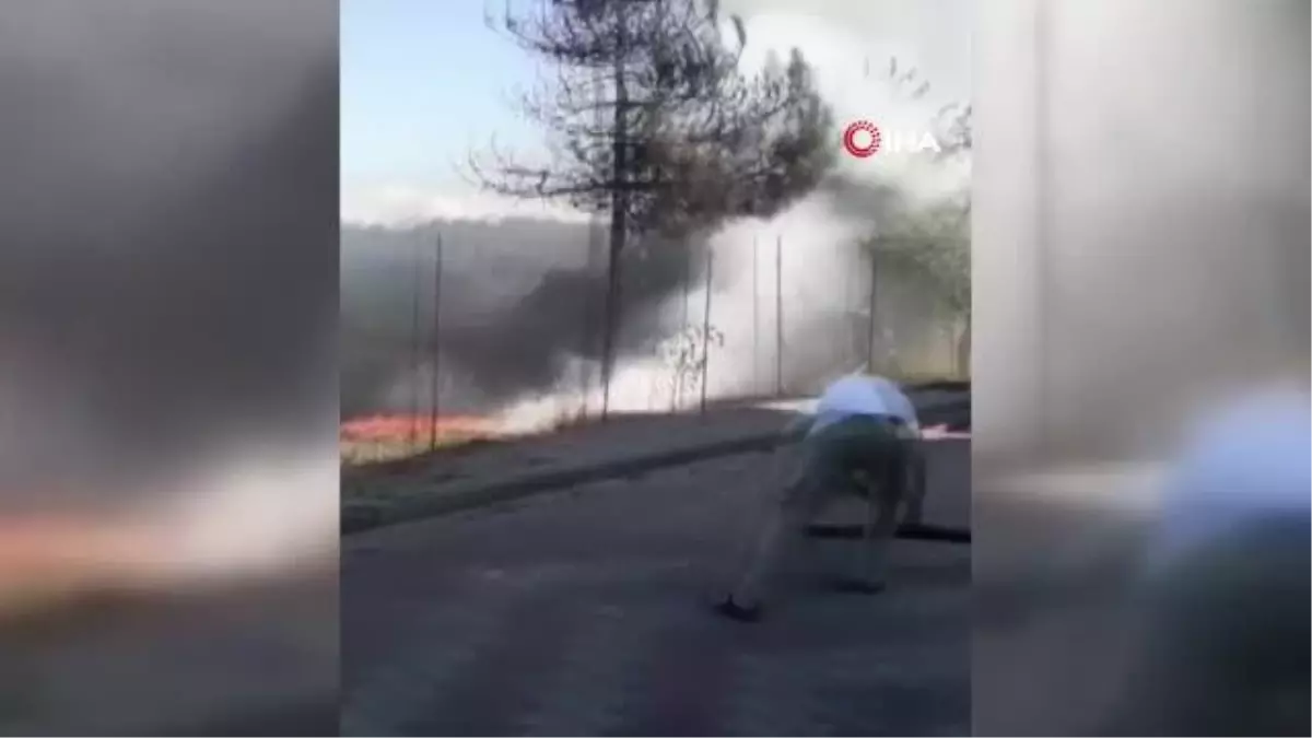 Son dakika haberleri | Samsun'da çıkan yangın ormanlık alana sıçramadan söndürüldü